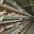 High quality automatic galvanized chicken cages for sale